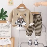 Velvet Hoodie Striped Pants Suit - Image 5