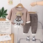 Velvet Hoodie Striped Pants Suit - Image 4